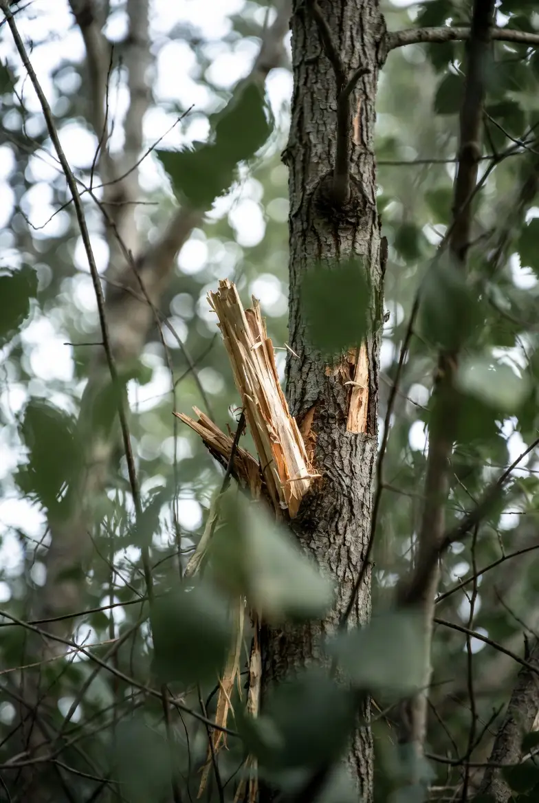 Embracing Imperfection, Imperfect but happy life